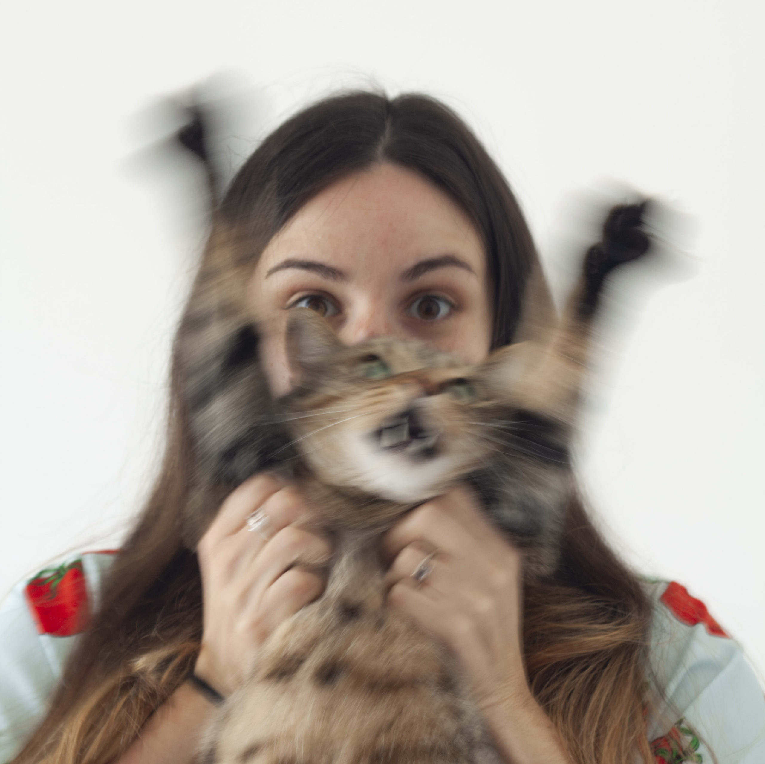 Cristina Lavín - Retratos de mascotas