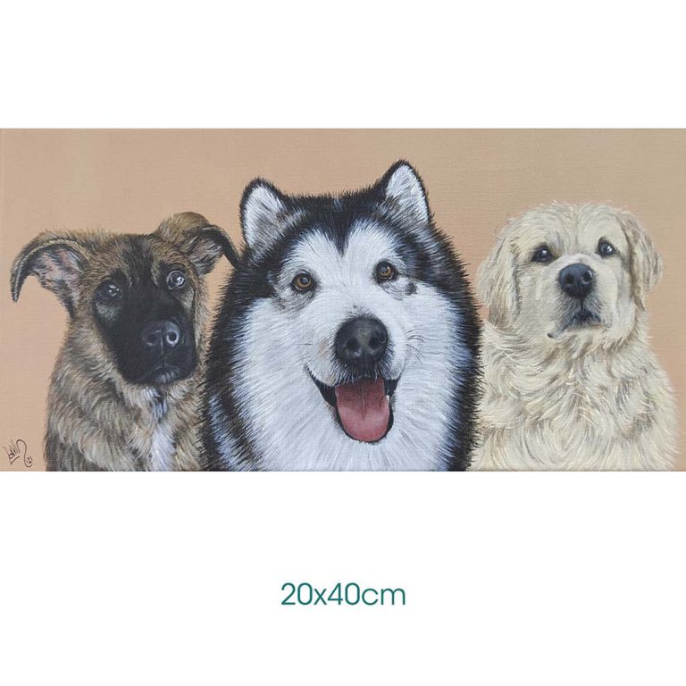 Cuadro de tres perros en retrato horizontal
